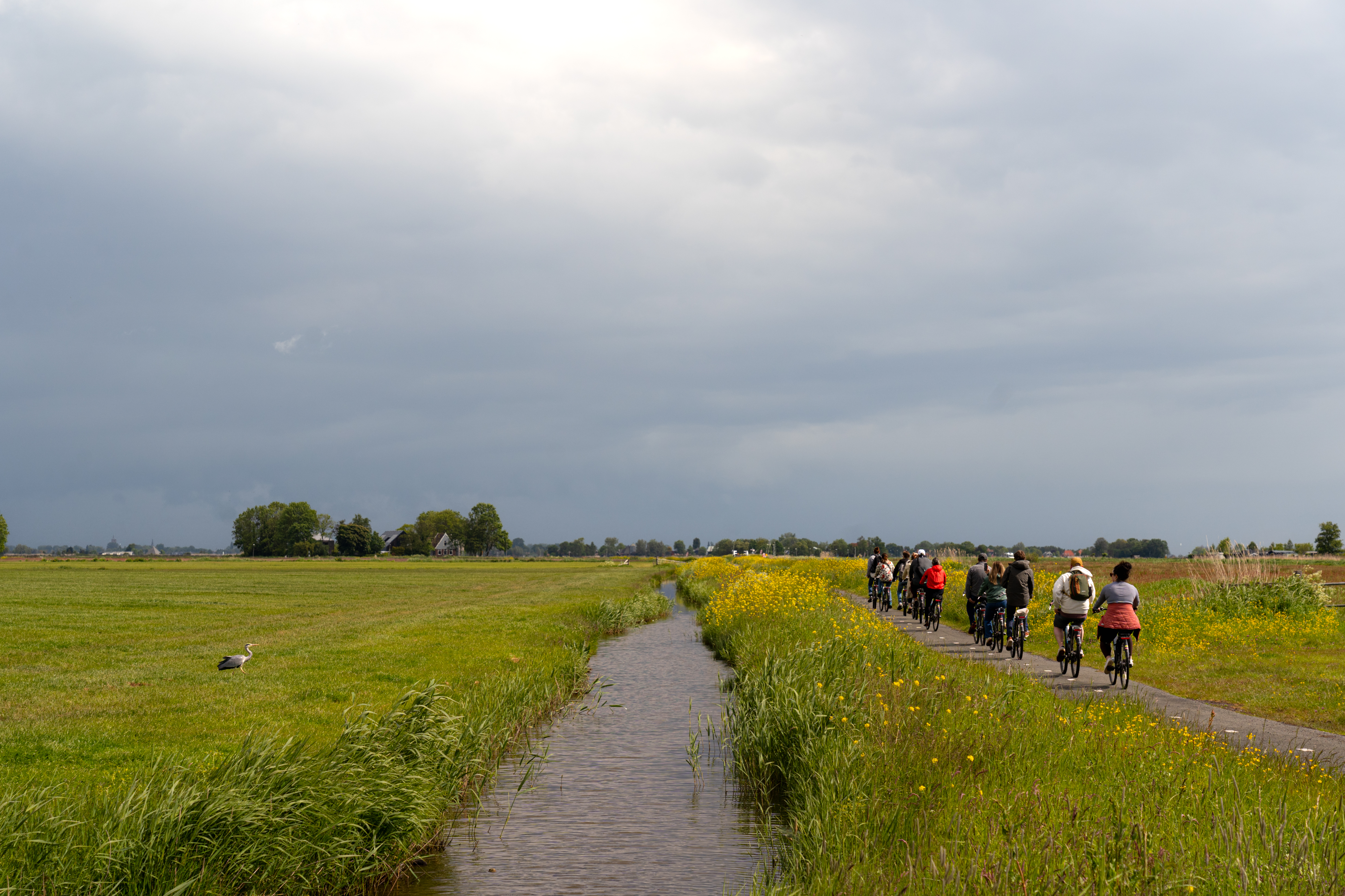 Fahrradtour Amsterdam Polder